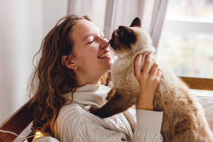 Cat Sitting Wellington - On the original Kiwi Pet Sitting site