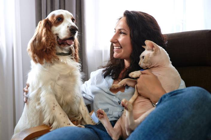 house sitter sitting on couch with dog and cat
