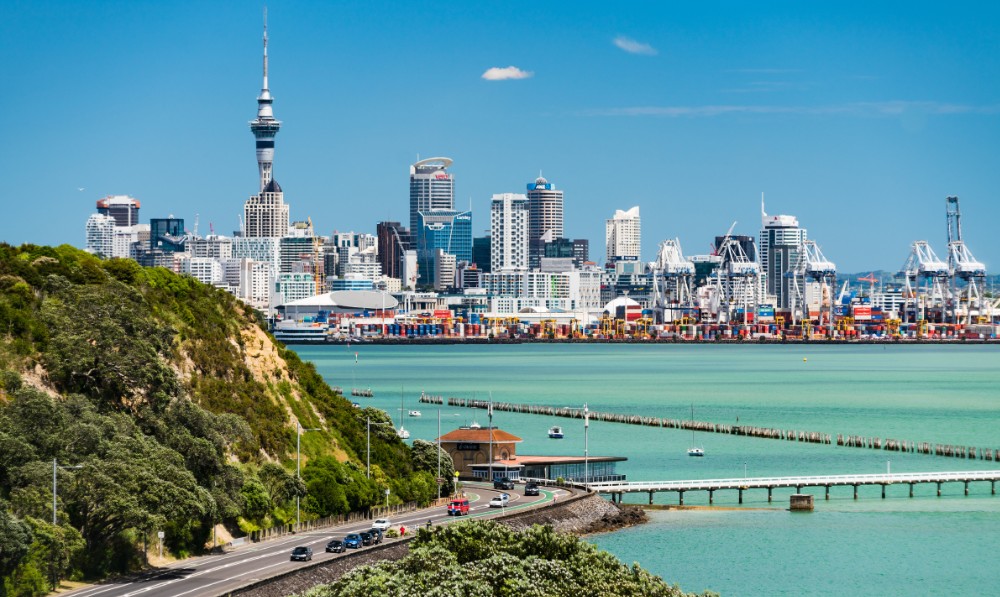 Cat Sitting Auckland - Auckland landscape