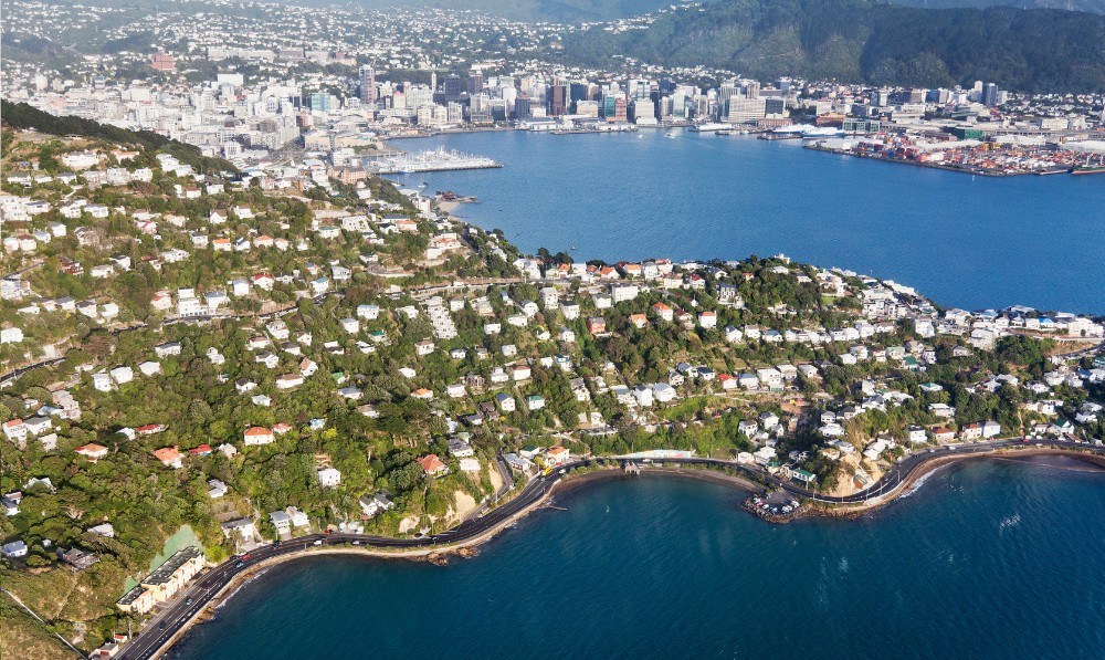 Cat Sitting Wellington - aerial view of city and harbour