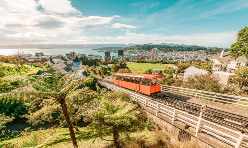 Cat sitting Wellington - Wellington cable car & city view