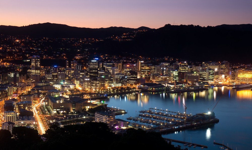 Dog Sitting in Wellington - This city has it all, including dogs