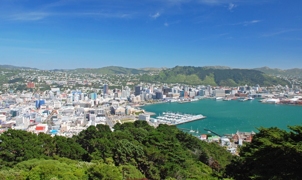 Pet Sitting in Wellington - This city has it all